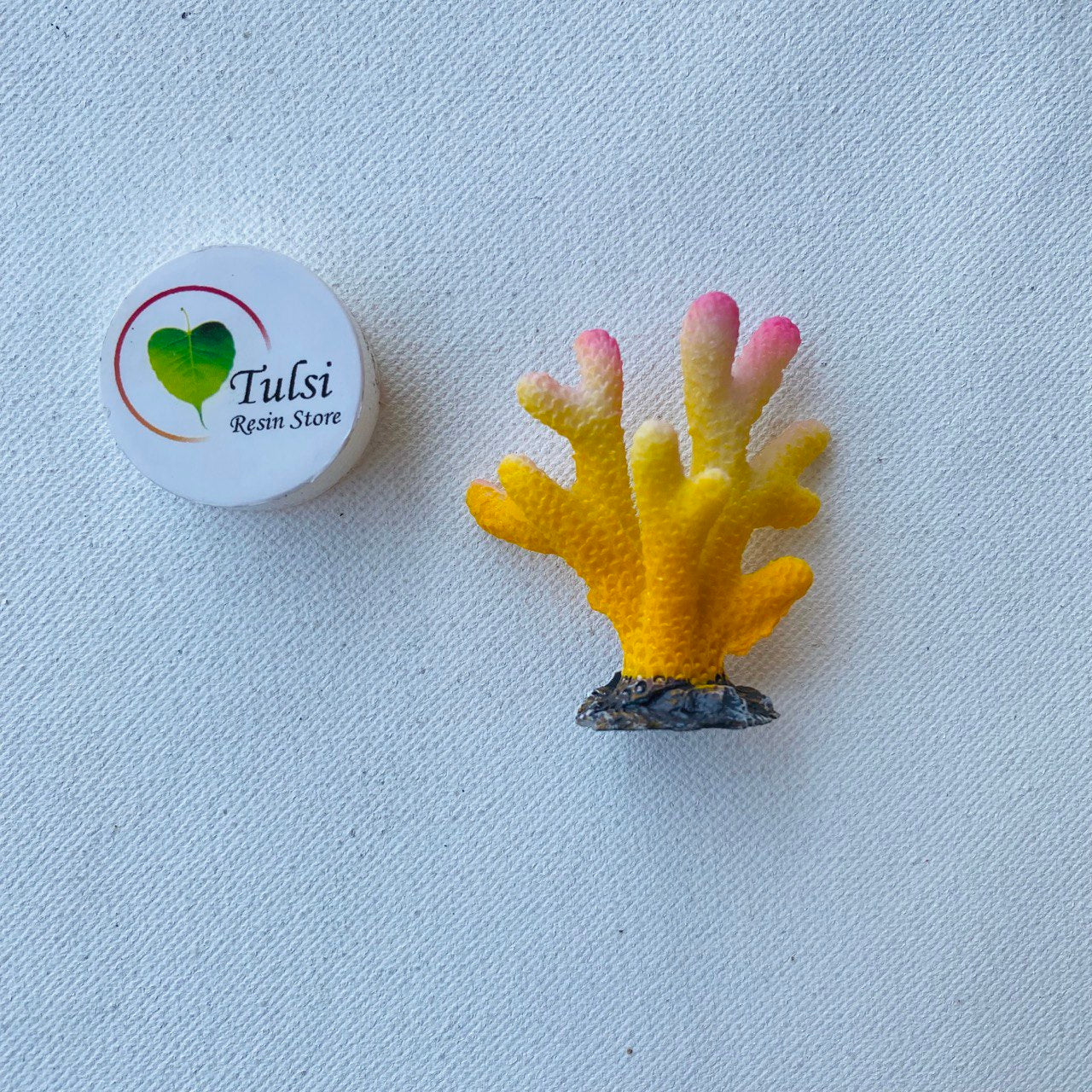 3D Coral Plant Miniature (C)