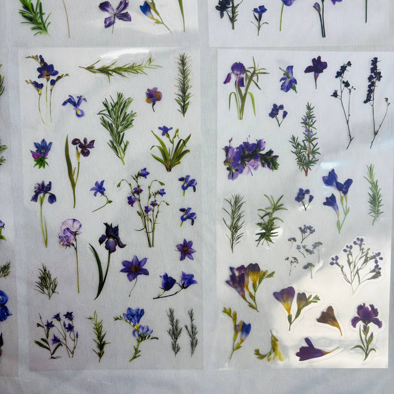 Transparent Sticker Sheet - Flower(A2)