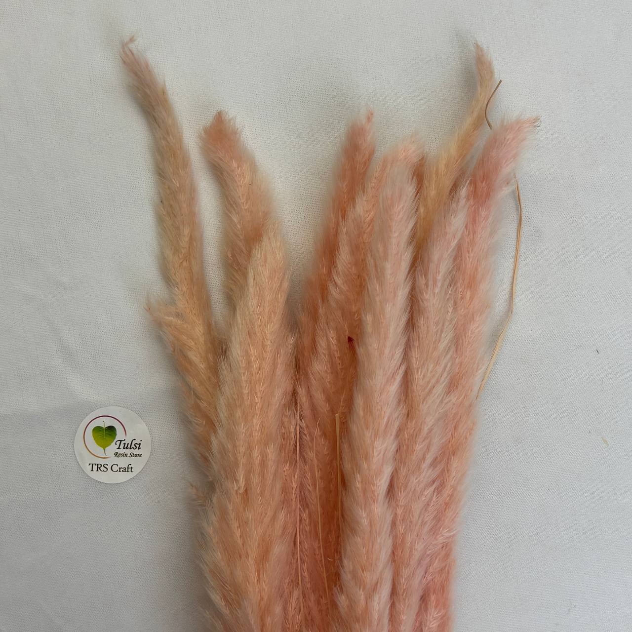 Colourful Pampas Feather Stick (2 pcs)