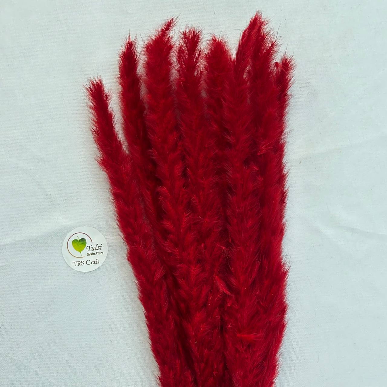 Colourful Pampas Feather Stick (2 pcs)
