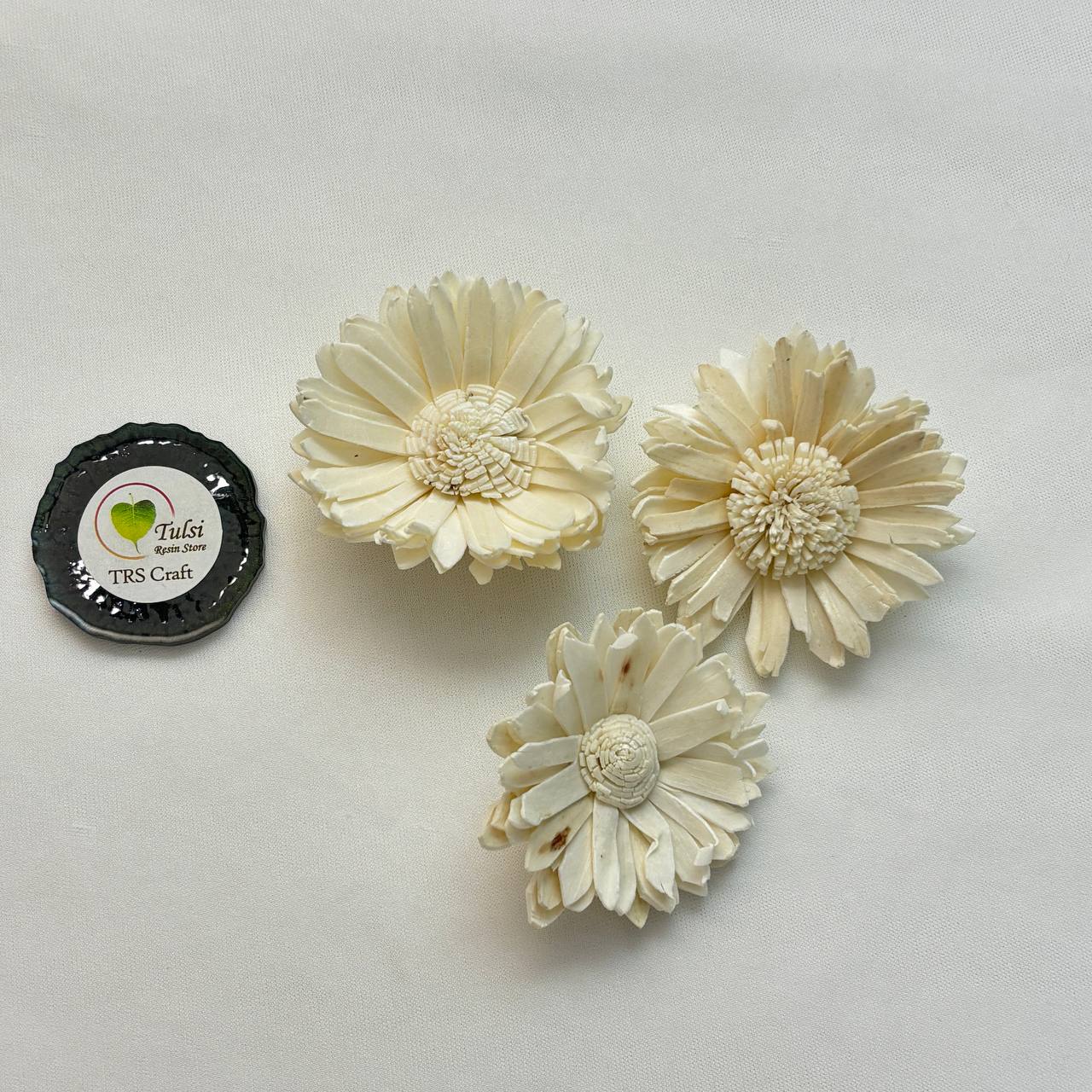 Solawood Flowers - Sunflower