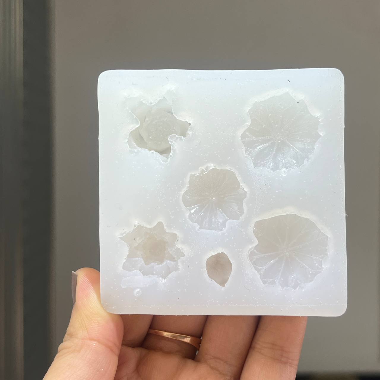 Lotus Pond Miniature Mould (A) - 6 Cavity (HM)