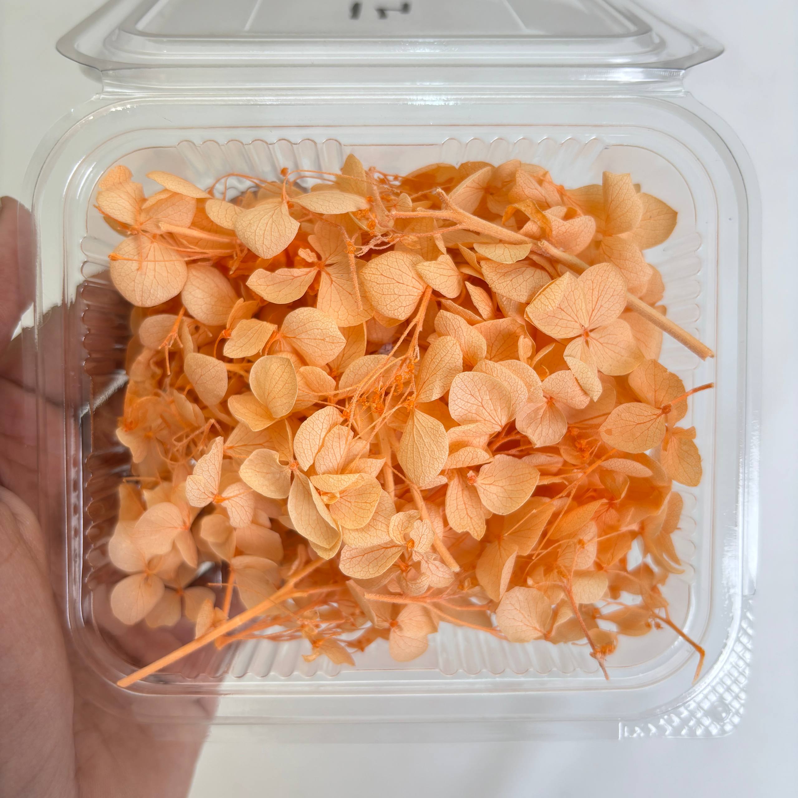 Hydrangea Dry Flower Box - (G)