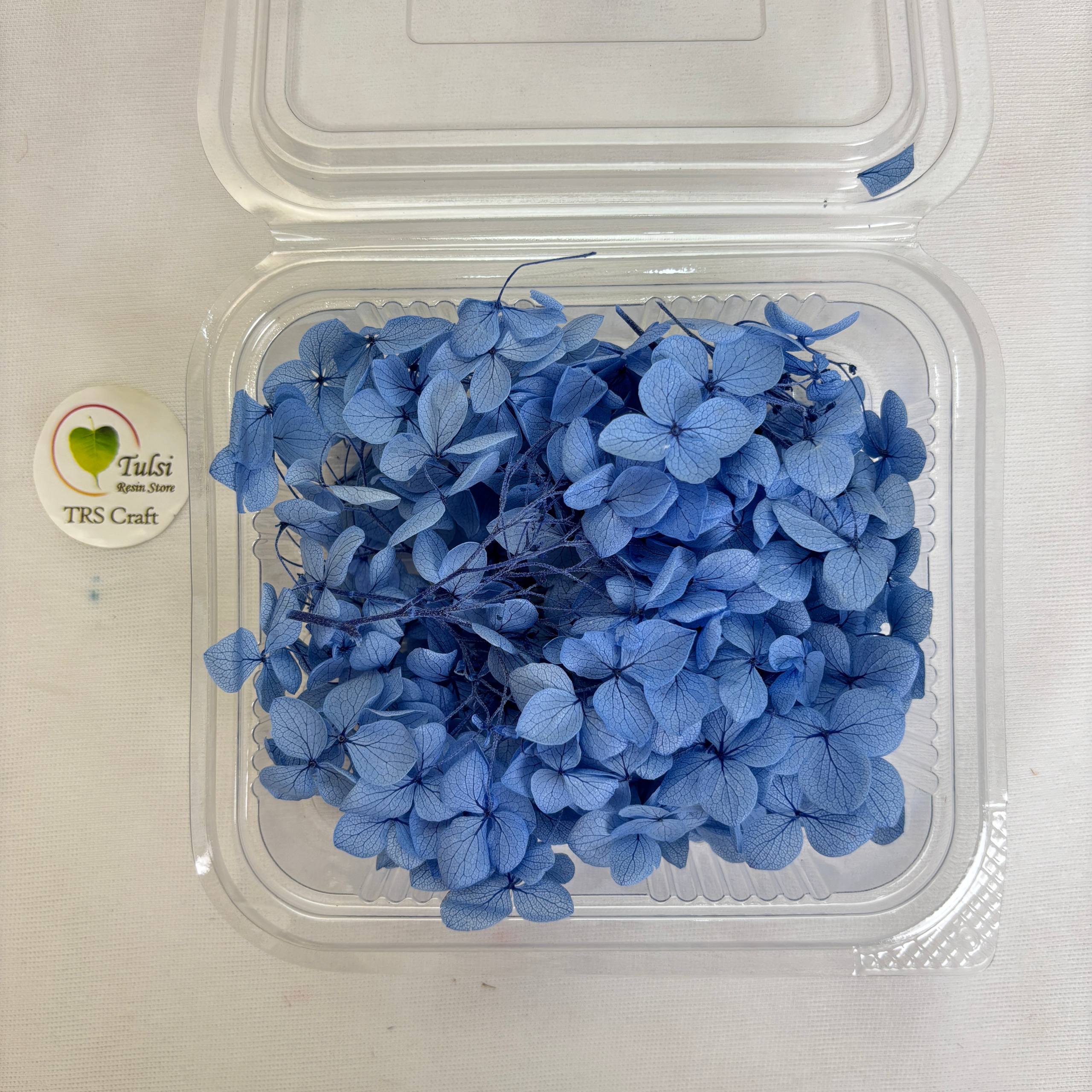 Hydrangea Dry Flower Box - (H)
