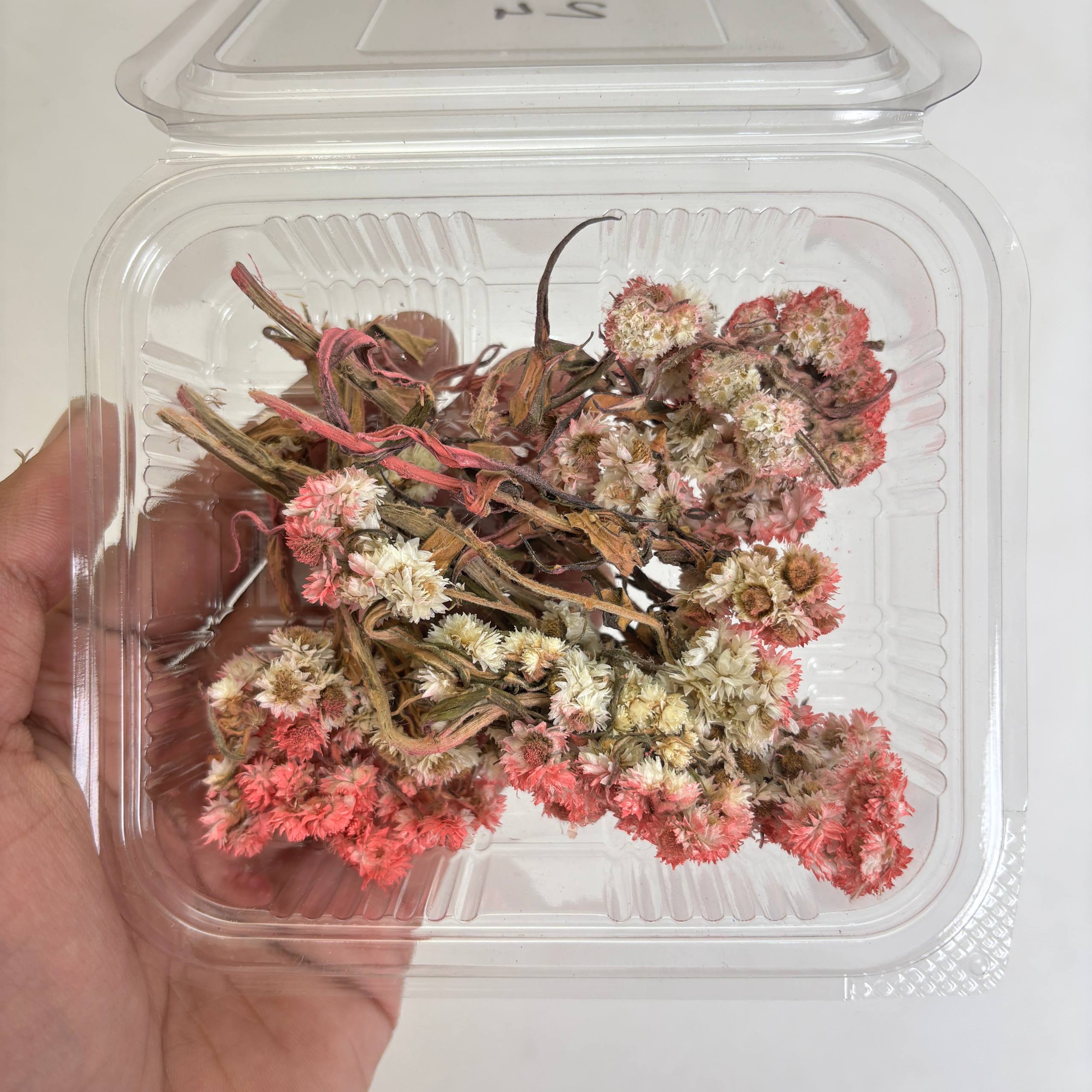 Wild Daisy Dry Flower Box - (G)