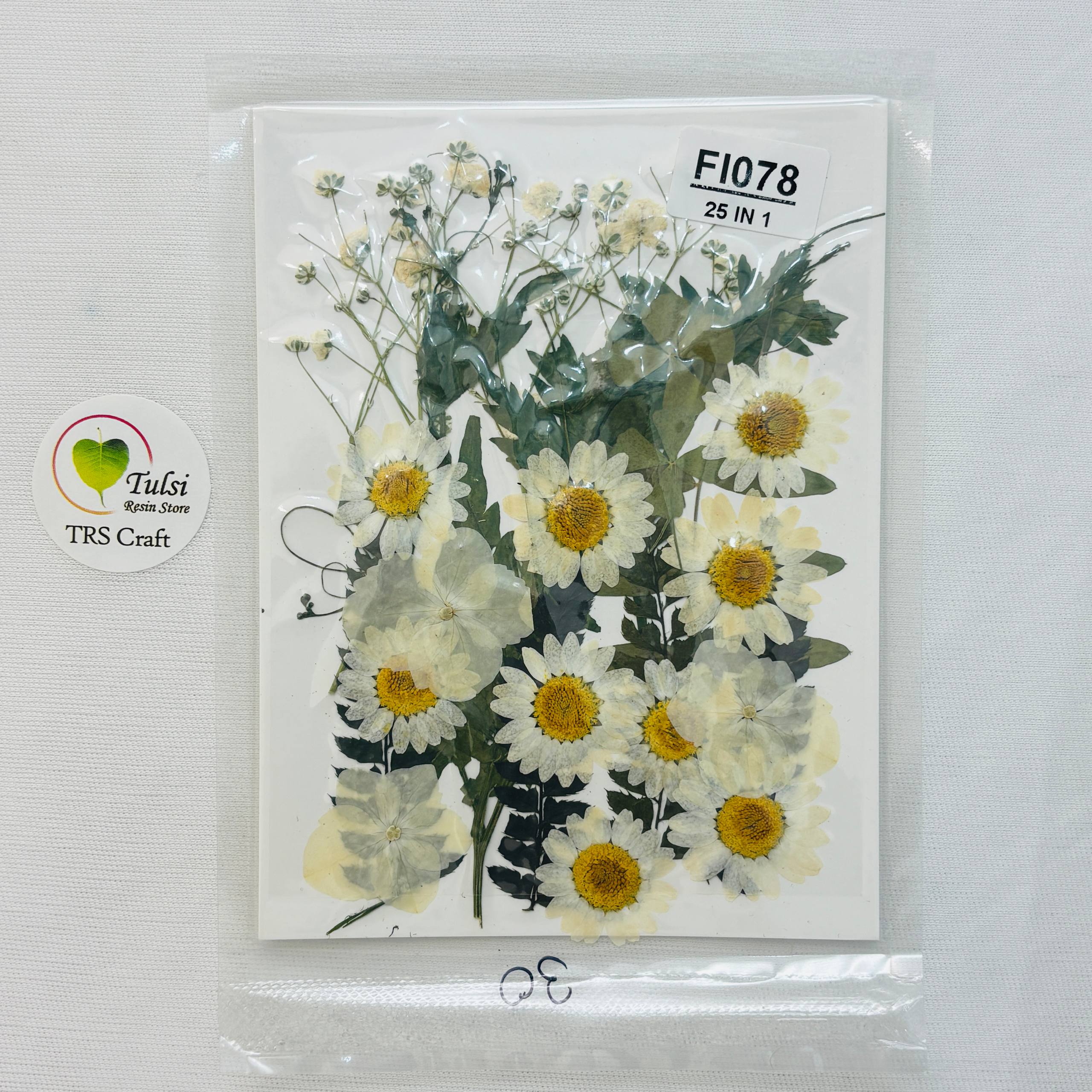 Pressed Flower Sheet Code - F