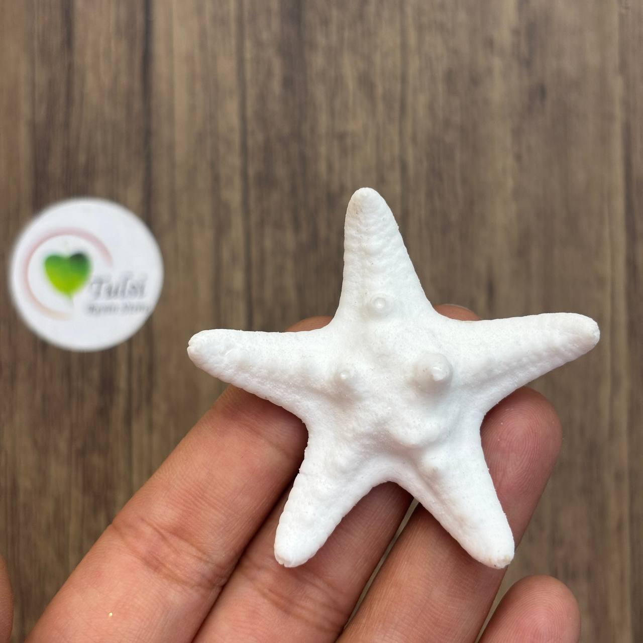 Resin Starfish (C) - Knobby (5Pc)