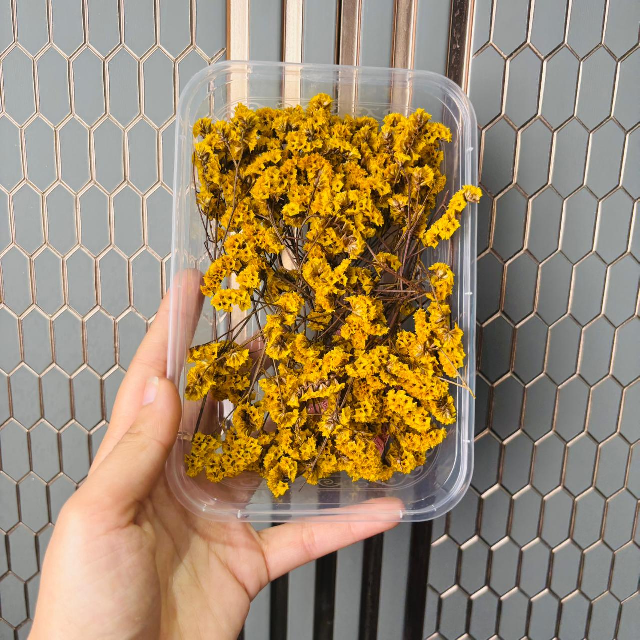 Limonium Flower Box -C