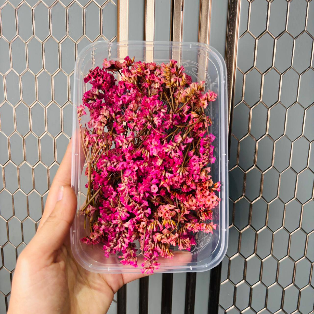 Limonium Flower Box -D