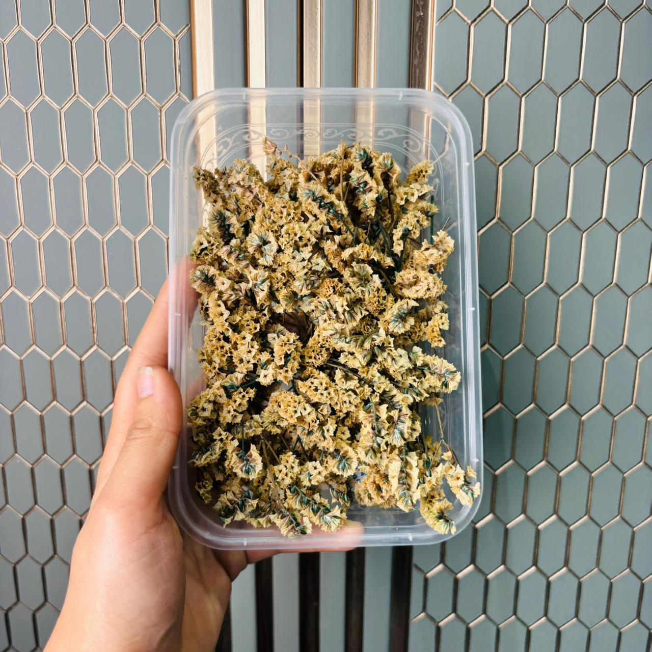 Limonium Flower Box -E