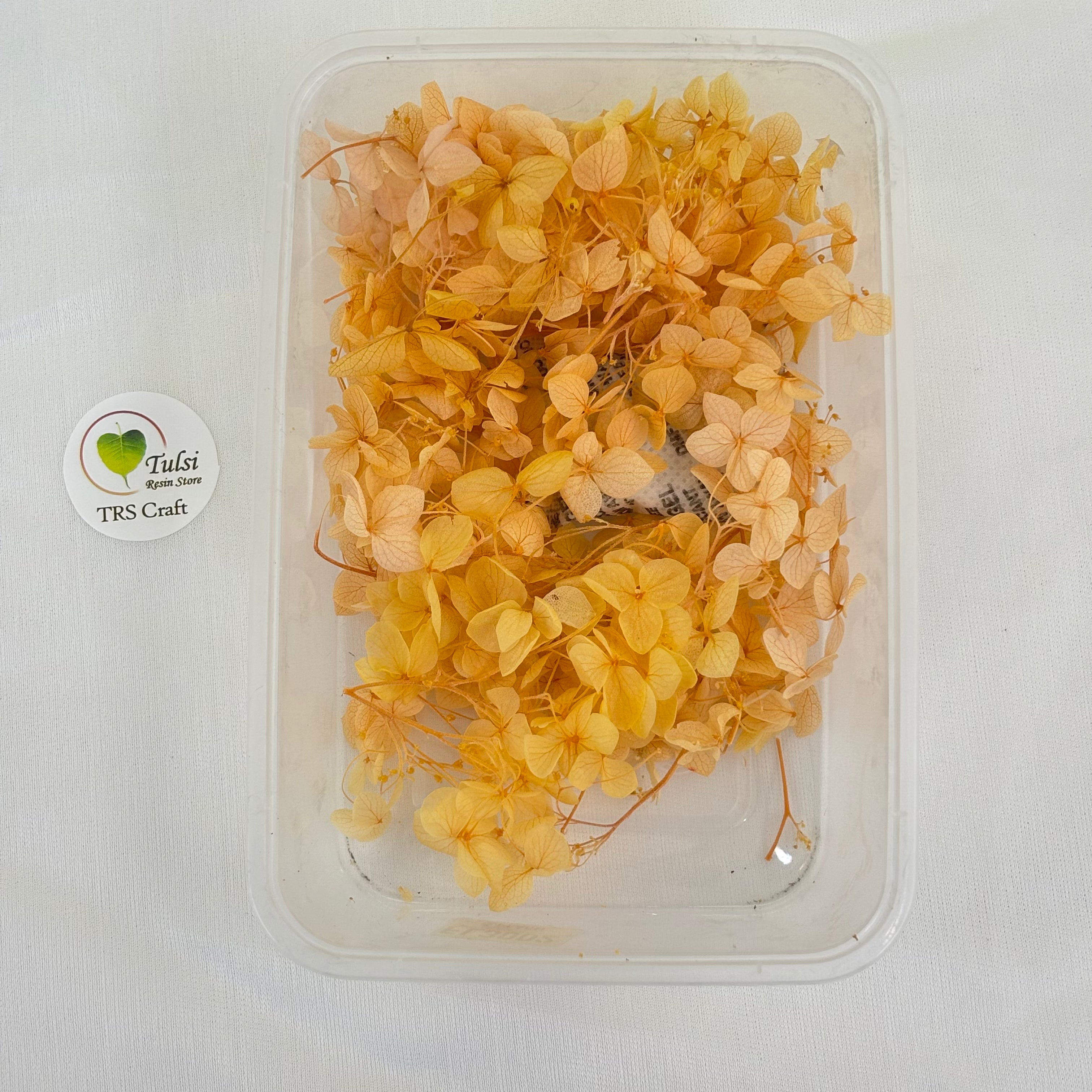 Hydrangea Dry Flower Box - (J)