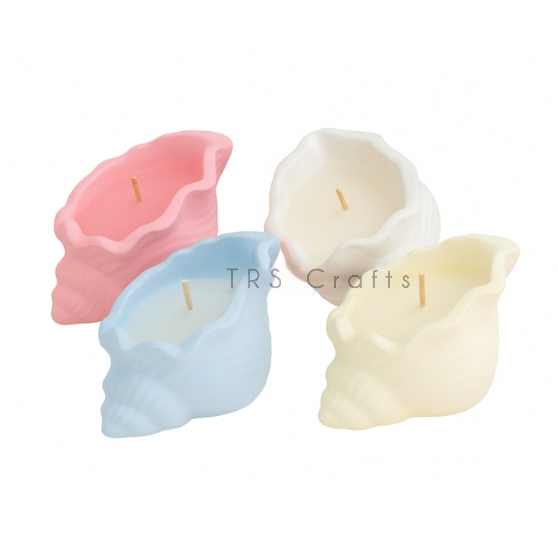 Concrete Jars (A13) - Broad Conch