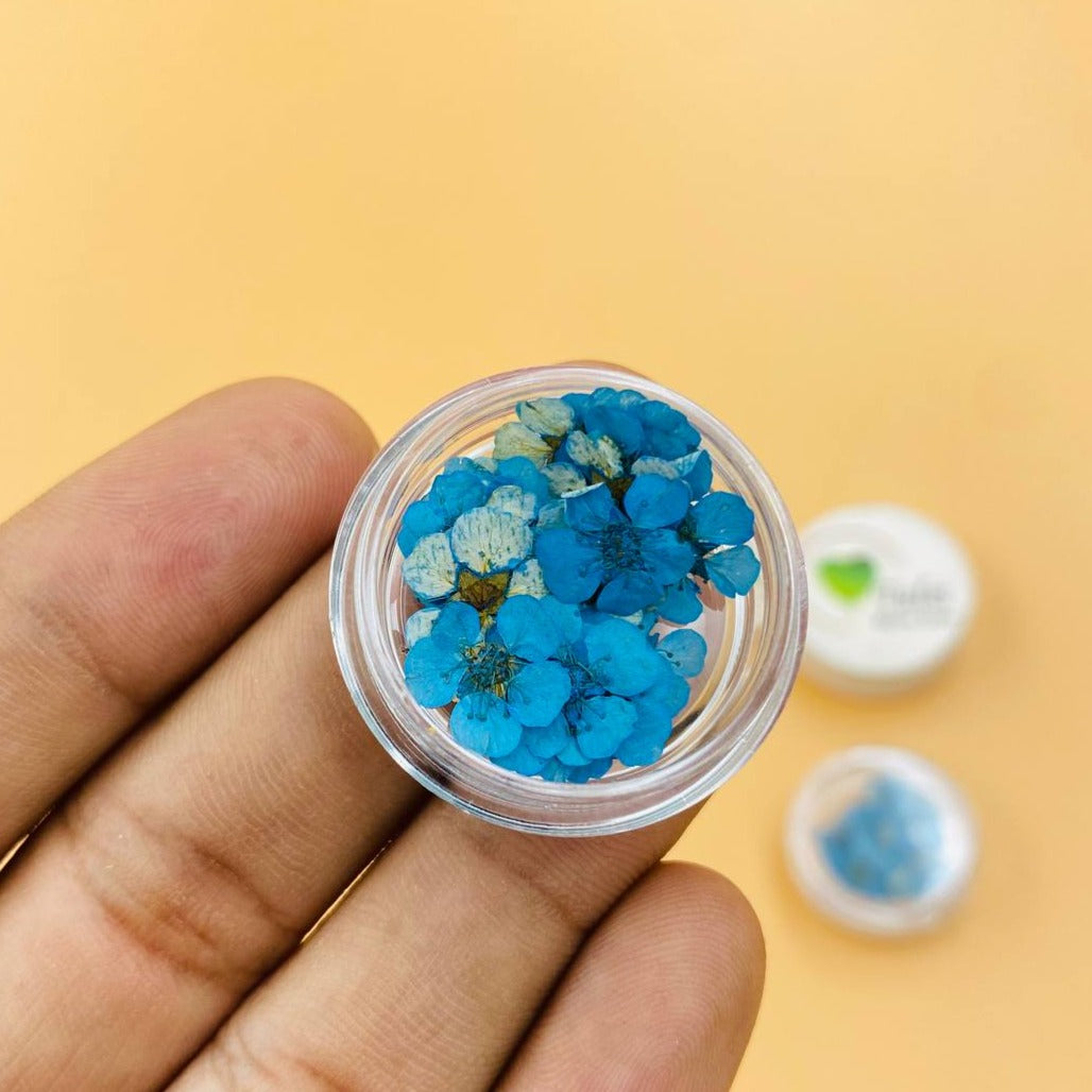 Plum Blossom Flowers - Blue