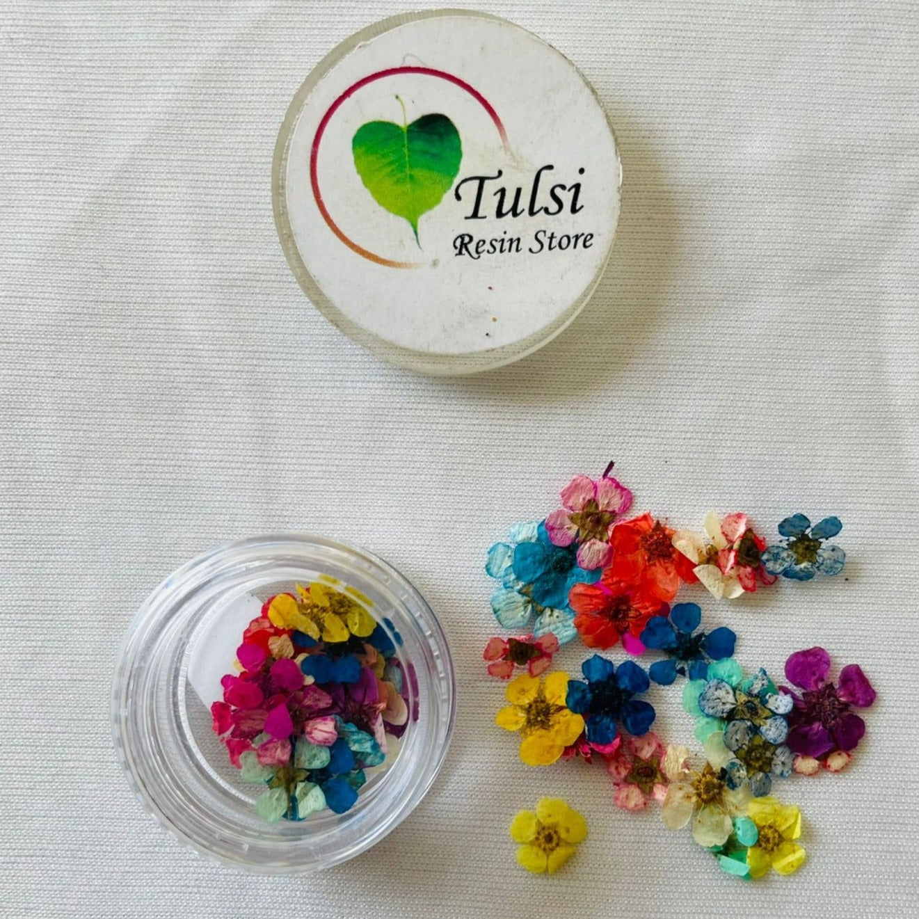 Multi Plum Blossom Pressed Flower