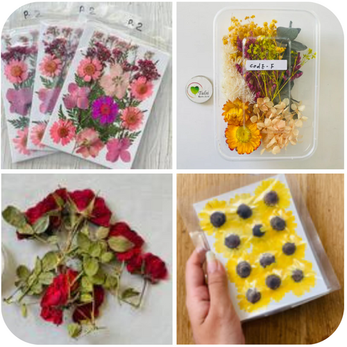 Dry flowers for resin art