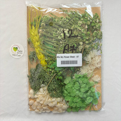 Mix Dry Flower Sheet - A7