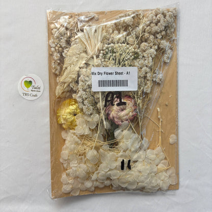 Mix Dry Flower Sheet - A1