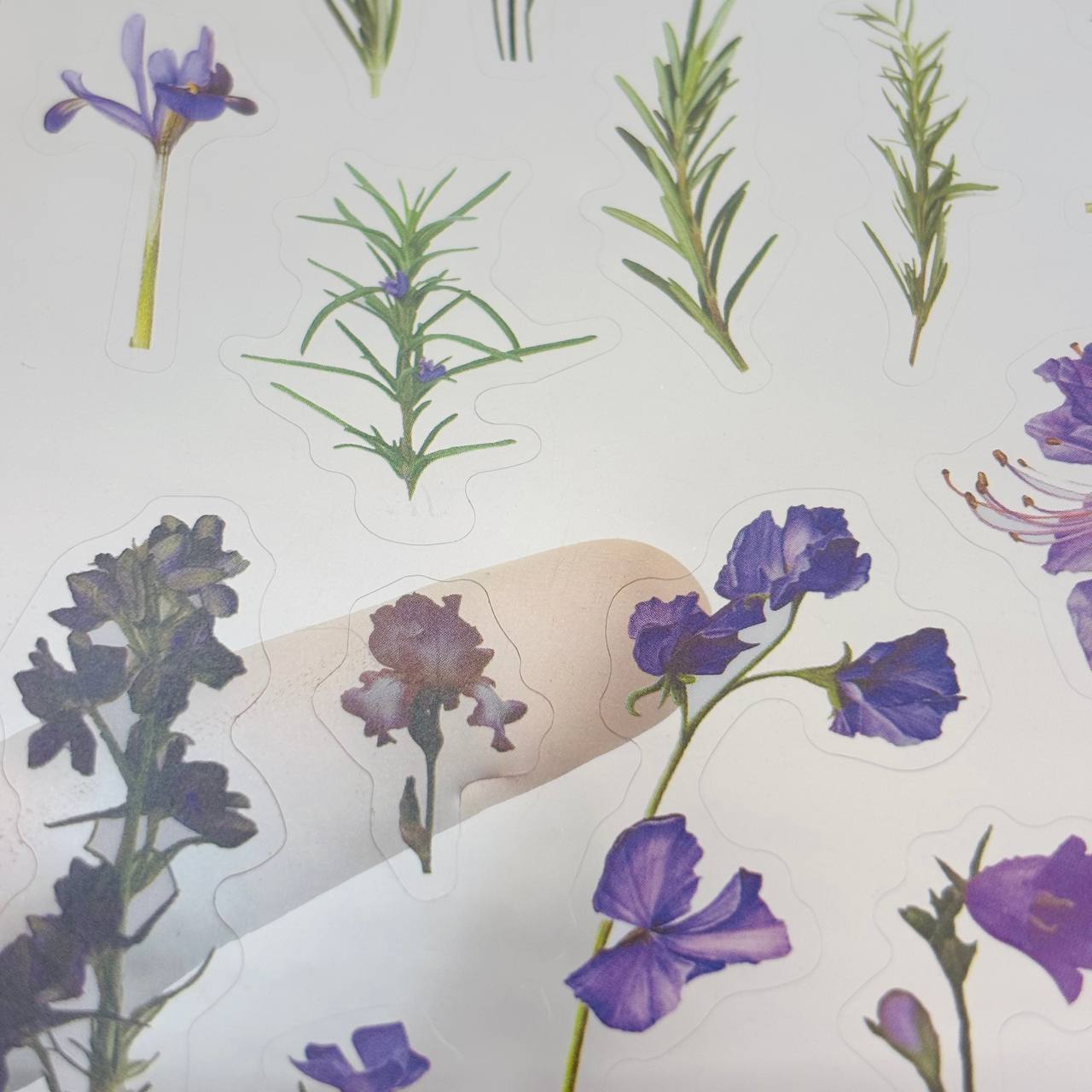 Transparent Sticker Sheet - Flower(A2)