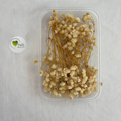 Gypsy Flower Box - (J)