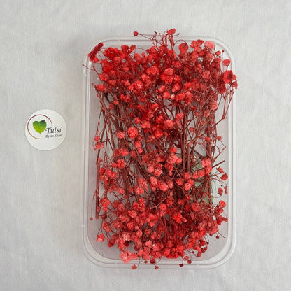 Gypsy Flower Box - (K)