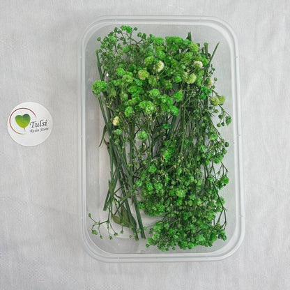 Gypsy Flower Box - (A)