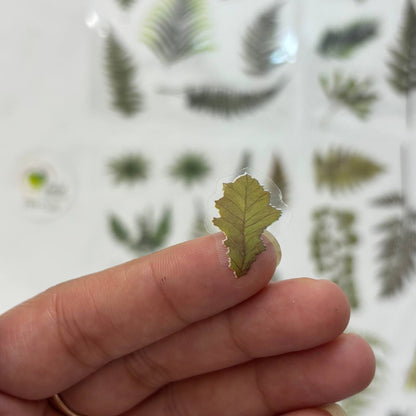 Transparent Sticker Sheet - Leaf (A3)