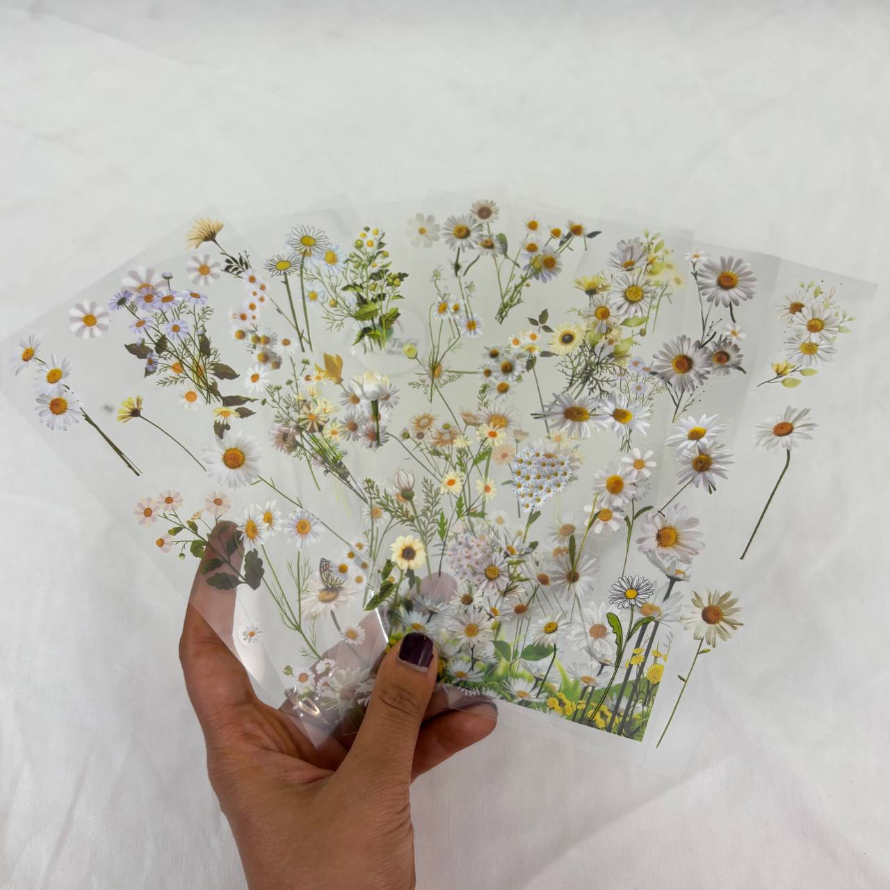 Transparent Sticker Sheet - Flower(A1)