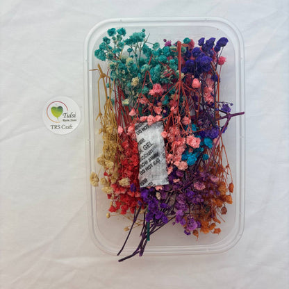 Baby Breath Dry Flower Box - Multi