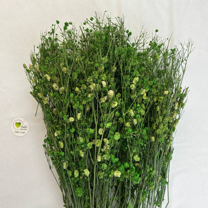 Gypsy Flower Box - (B)