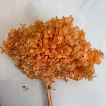 Hydrangea Dry Flower Box - (G)