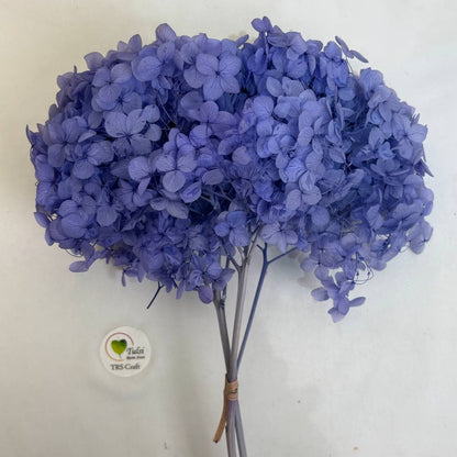 Hydrangea Dry Flower Box - (D)