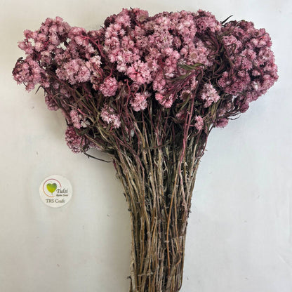 Wild Daisy Dry Flower Box - (D)