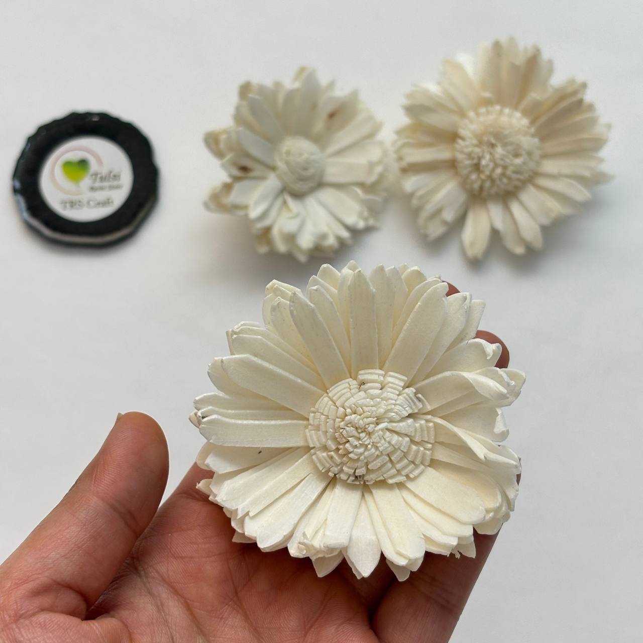 Solawood Flowers - Sunflower