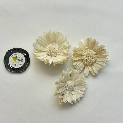 Solawood Flowers - Sunflower