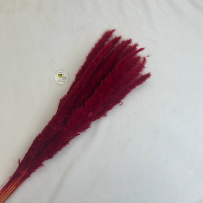 Colourful Pampas Feather Stick  (2 pcs)