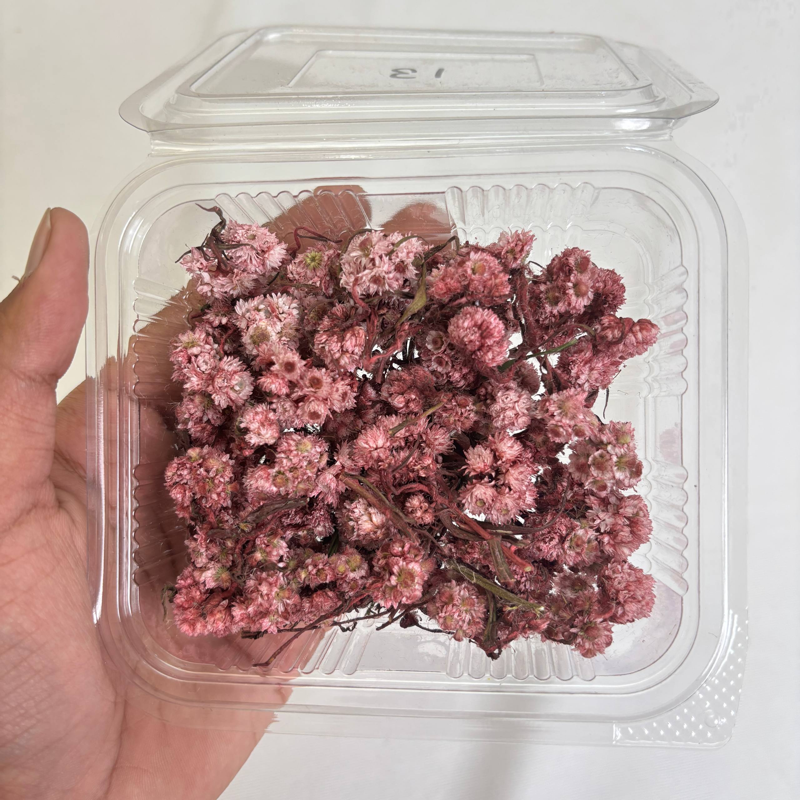 Wild Daisy Dry Flower Box - (D)