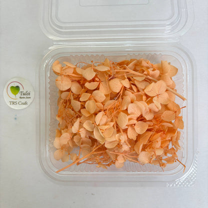 Hydrangea Dry Flower Box - (G)