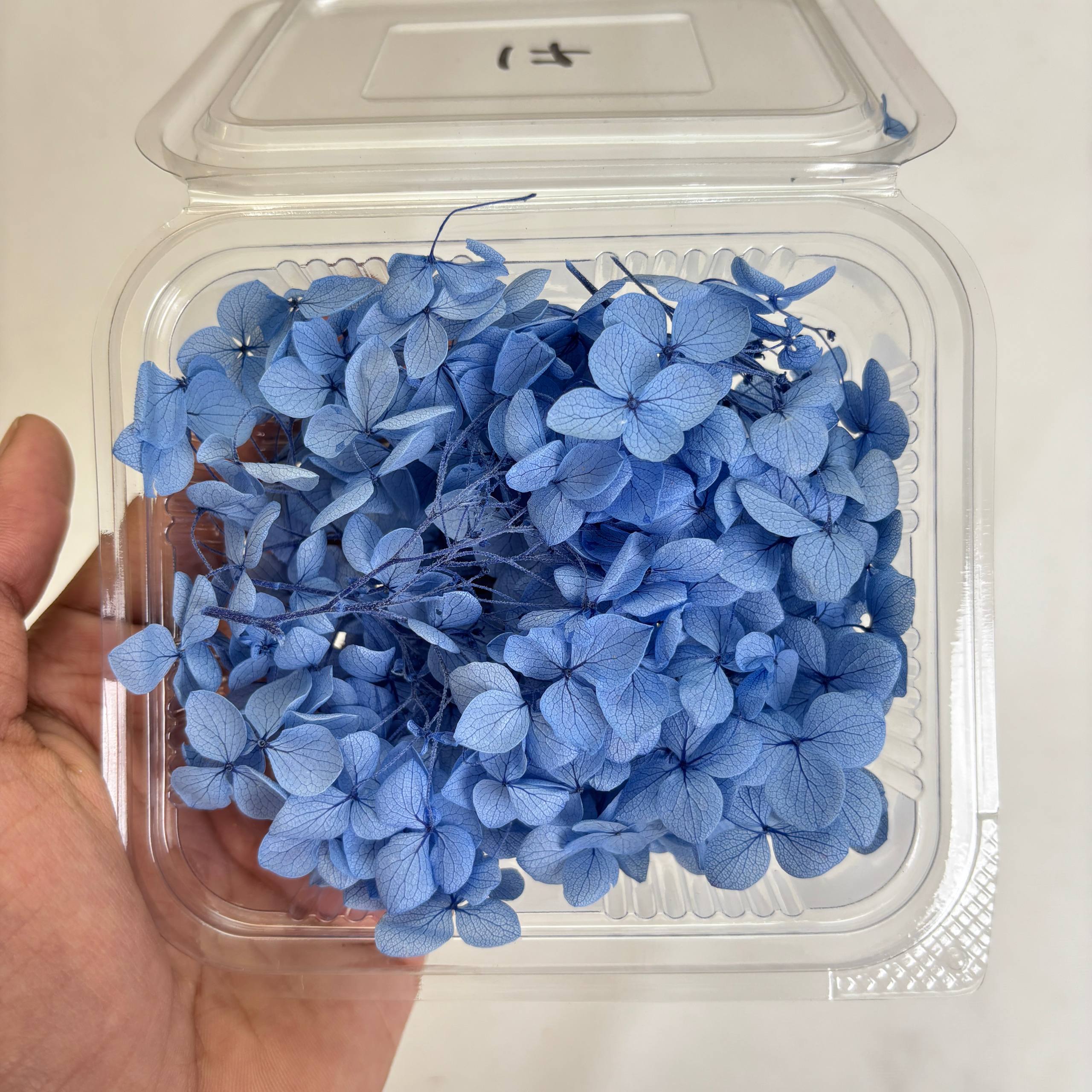 Hydrangea Dry Flower Box - (H)