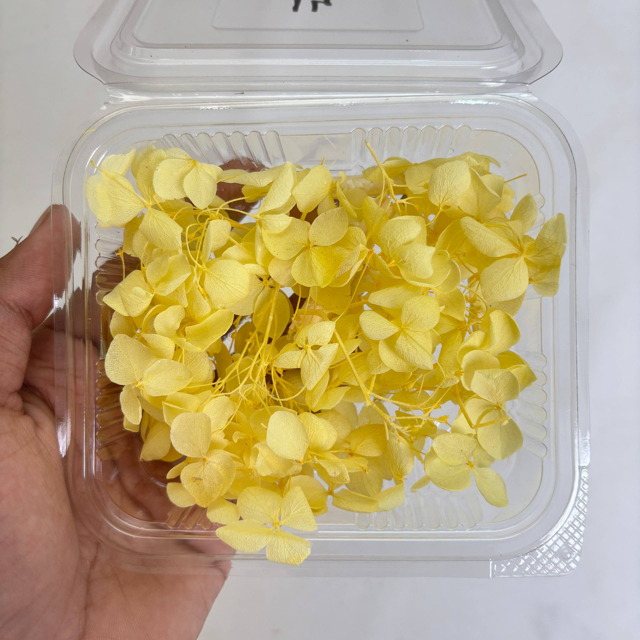 Hydrangea Dry Flower Box - (A)