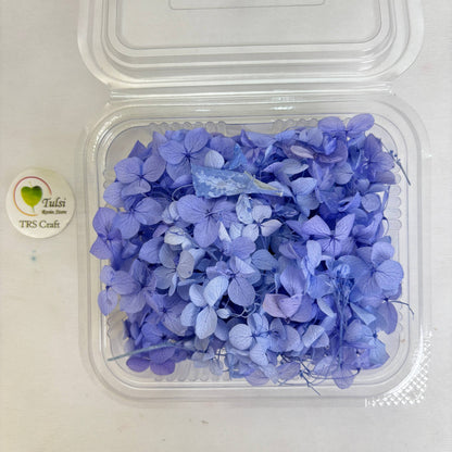 Hydrangea Dry Flower Box - (D)