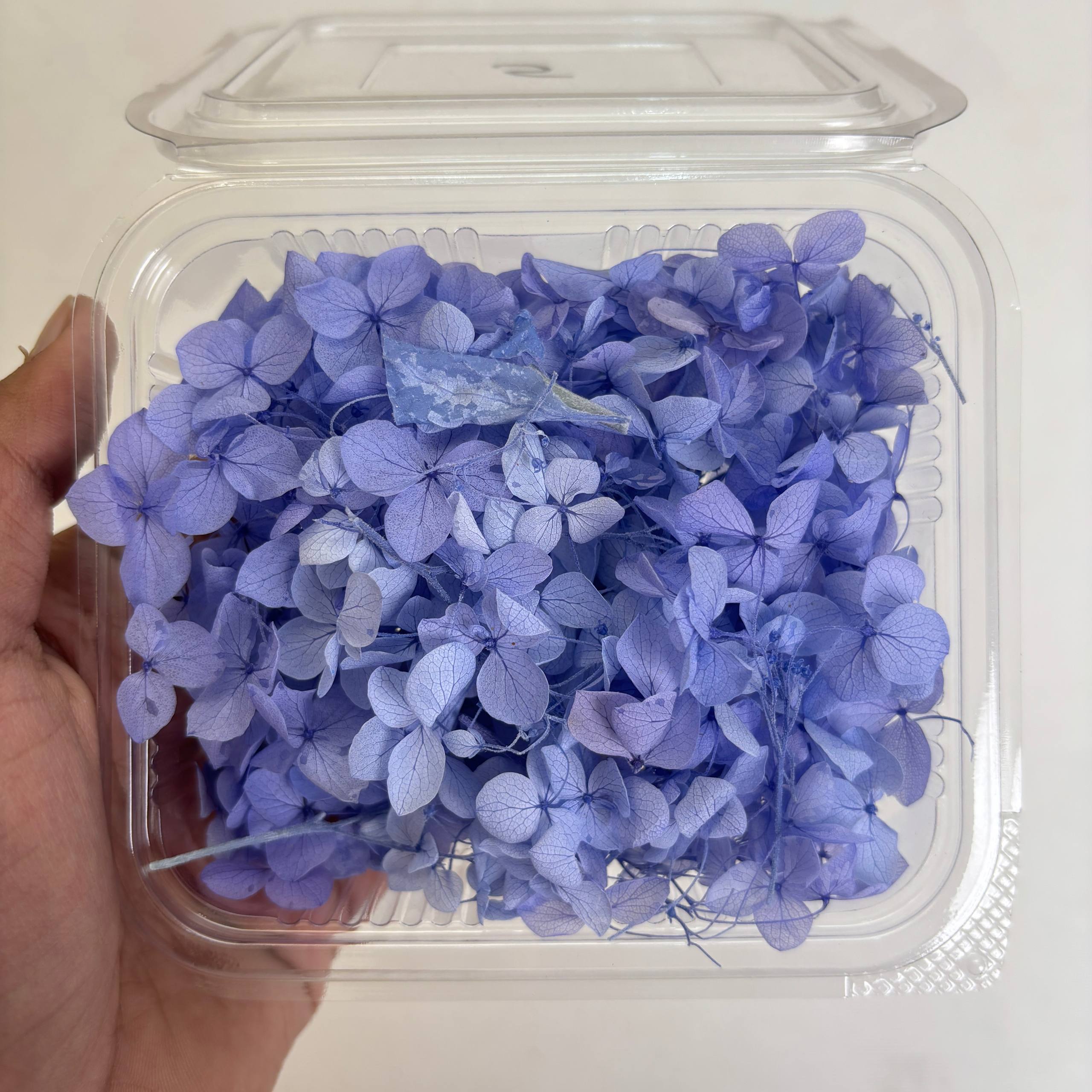 Hydrangea Dry Flower Box - (D)