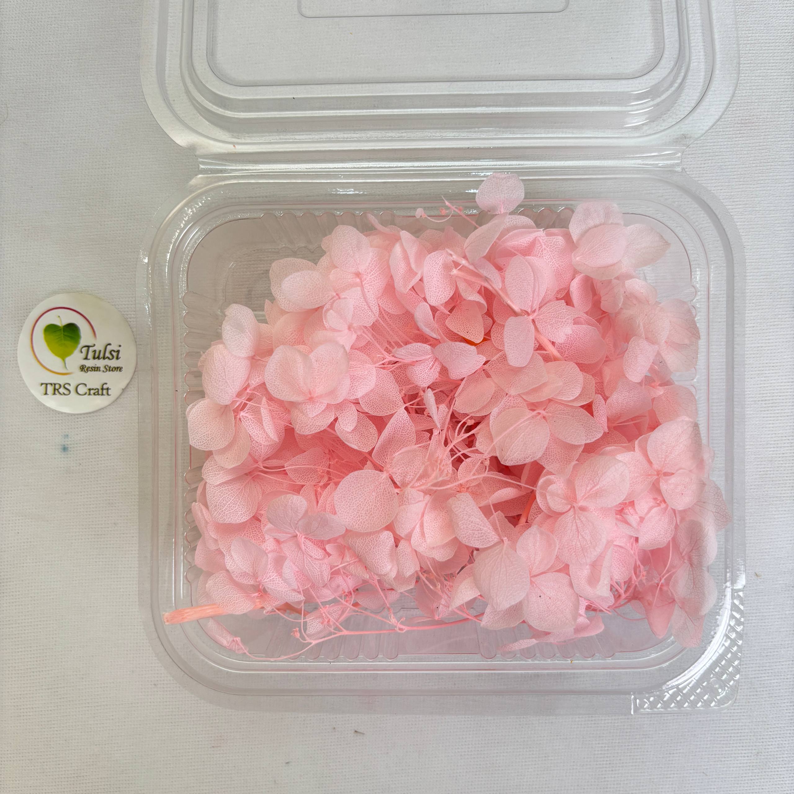 Hydrangea Dry Flower Box - (K)