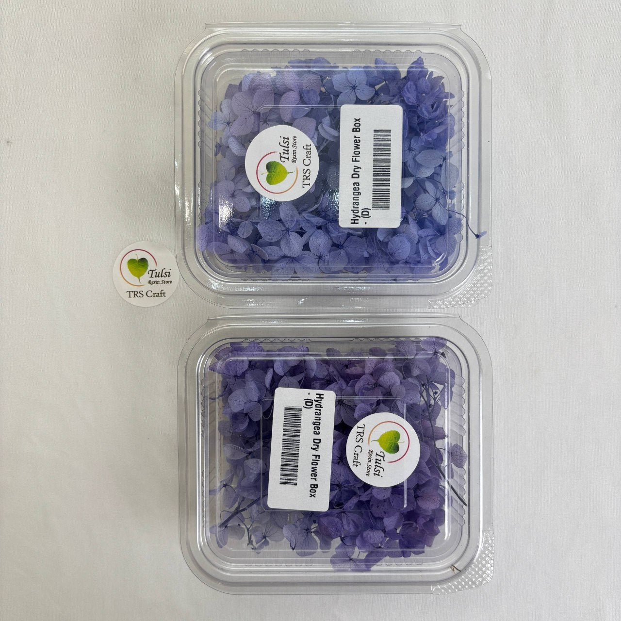 Hydrangea Dry Flower Box - (D)