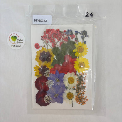 Pressed Flower Sheet Code - O