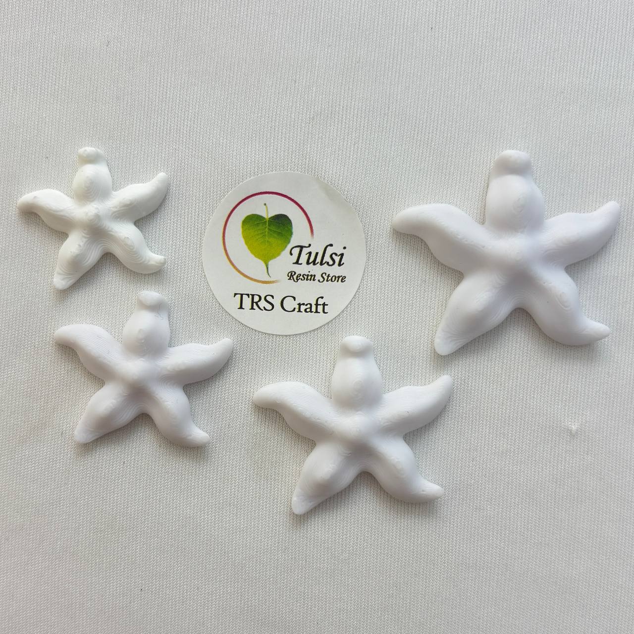 3D Miniature (A08) - Starfish