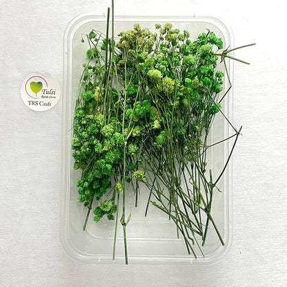 Gypsy Flower Box - (B)