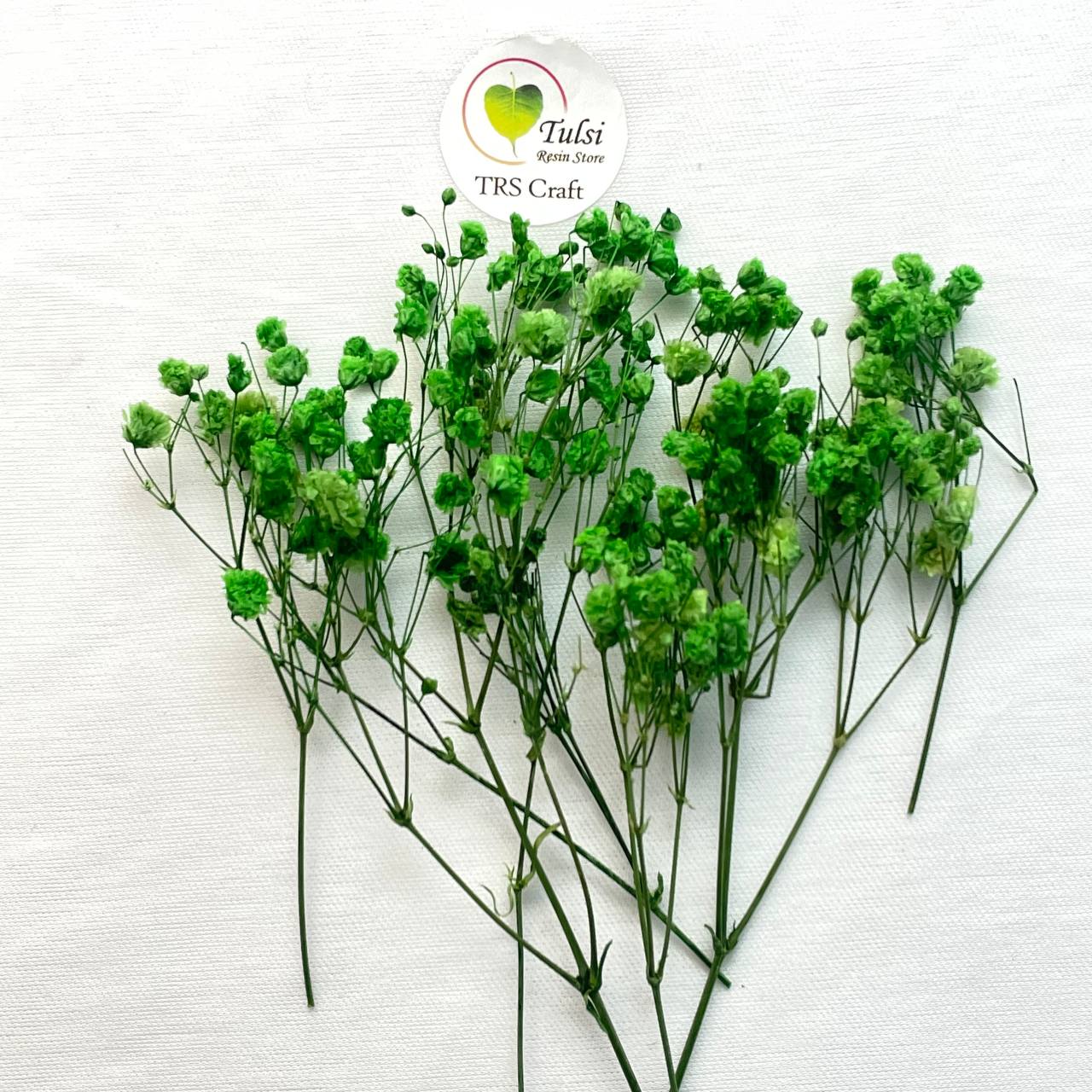 Gypsy Flower Box - (B)