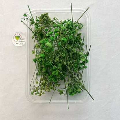 Gypsy Flower Box - (B)