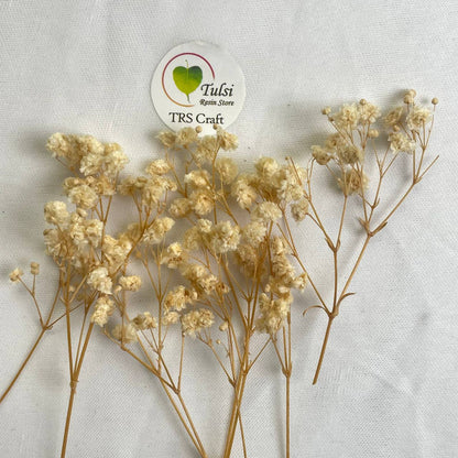 Gypsy Flower Box - (J)