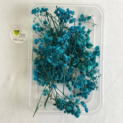 Gypsy Flower Box - (D)